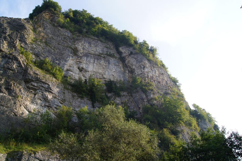Landgasthof Hirschen Hohenems Bagian luar foto